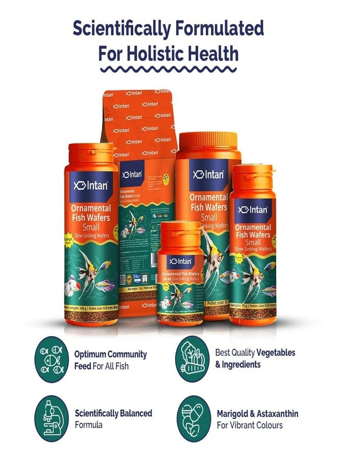 كينكو إنتان طعام أسماك الزينة المائية | رقائق صغيرة بطيئة الغرق لأسماك الزينة | رقائق لصحة ونمو الأسماك | عبوة كبيرة (180 جم) - Image 4